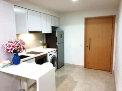 Eight Riversuites (D12), Condominium #639500471
